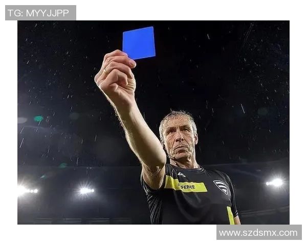 足球比赛中的黄牌规则解析及其对比赛的影响与意义探讨